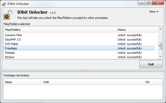 IOBitLocker - бесплатная программа для удаления заблокированных элементов.